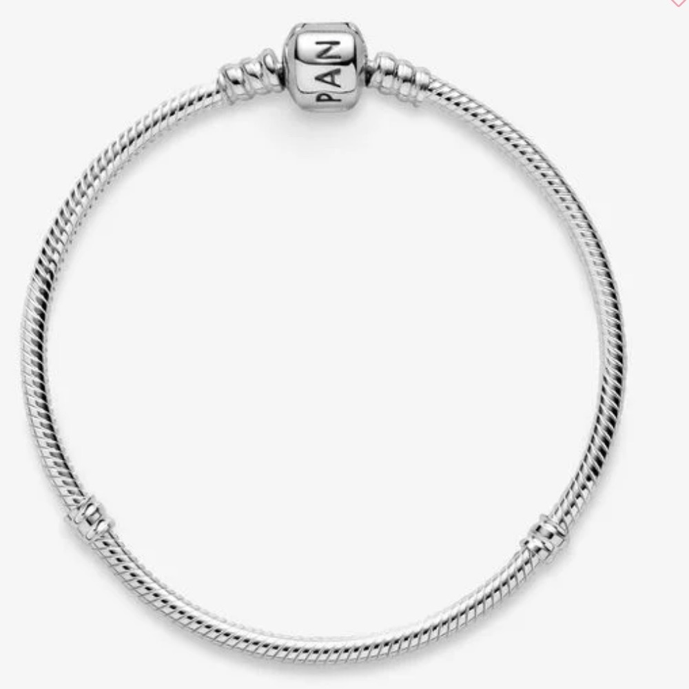 Pandora moments snake chain bracelet